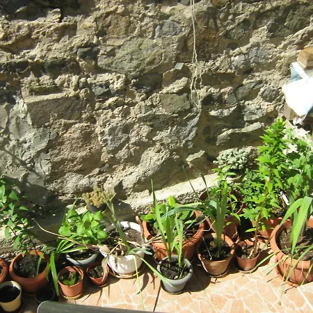 招待所 Nevena 索佐波尔