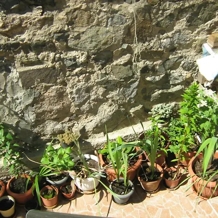 Guest house Nevena Sozopol