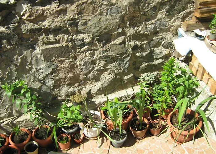 Gasthuis Nevena Sozopol