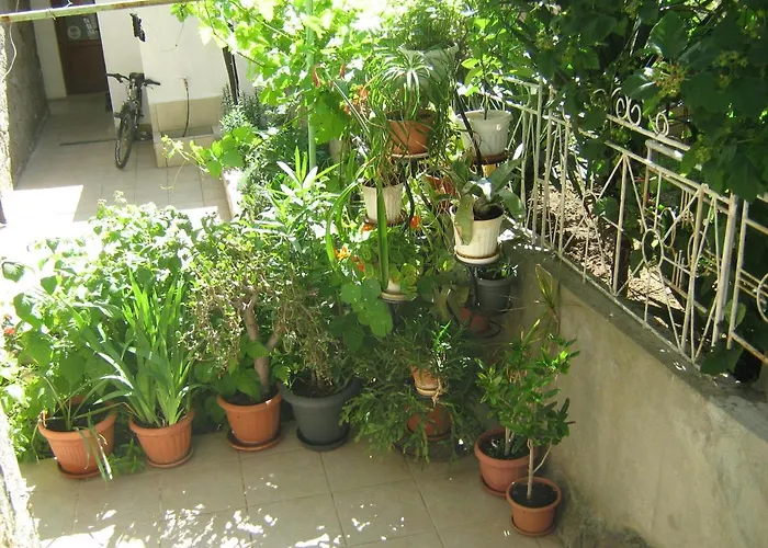 Nevena Casa de hóspedes